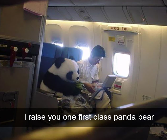 153 Of The Funniest Things That Have Ever Happened On A Plane | Bored Panda