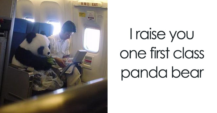 153 Of The Funniest Things That Have Ever Happened On A Plane