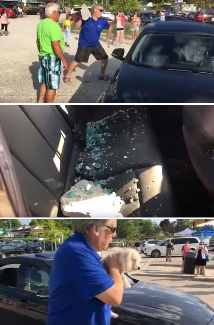 Guy Throws Stone At BMW Window To Free Dog Locked In Hot Car