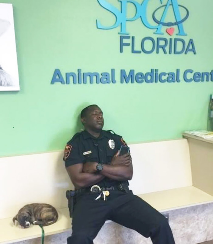 Cop Finds Stray Puppy, Stays With Her After His Night Shift To Make Sure She’s Safe