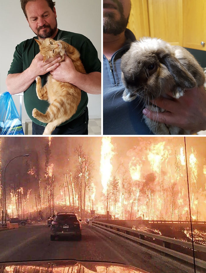 Man Refuses To Evacuate, Stays Behind To Feed All The Pets Left Behind In Wildfires