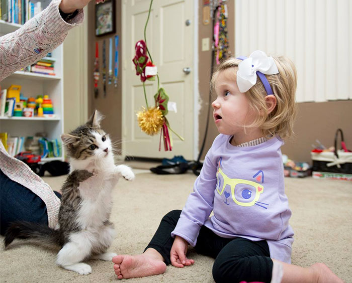 3-Legged Kitten Adopted By Amputee Girl Becomes Her Best Friend