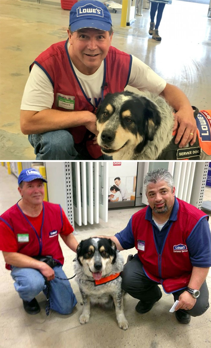 This Man Couldn’t Get A Job Because Of His Service Dog But This Store Hired Them Both