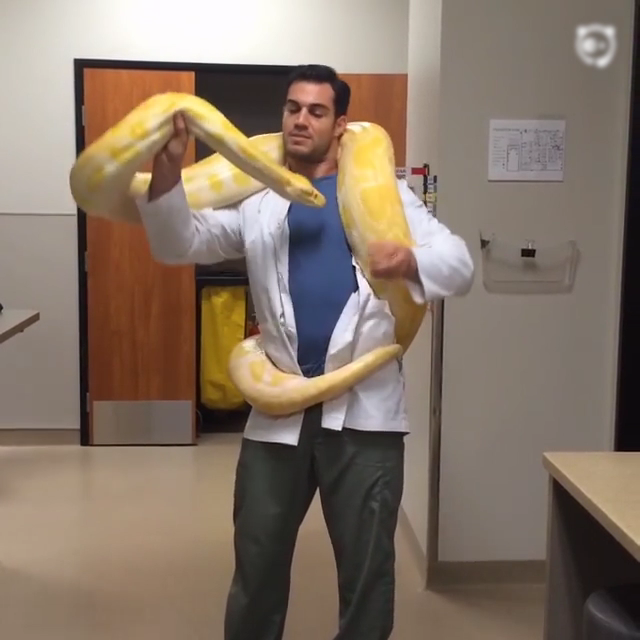 The Hottest Animal Doctor Ever