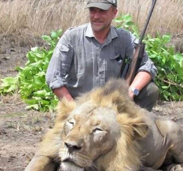El veterinario que posó con el león muerto que cazó, fallece tras un accidente en una cacería