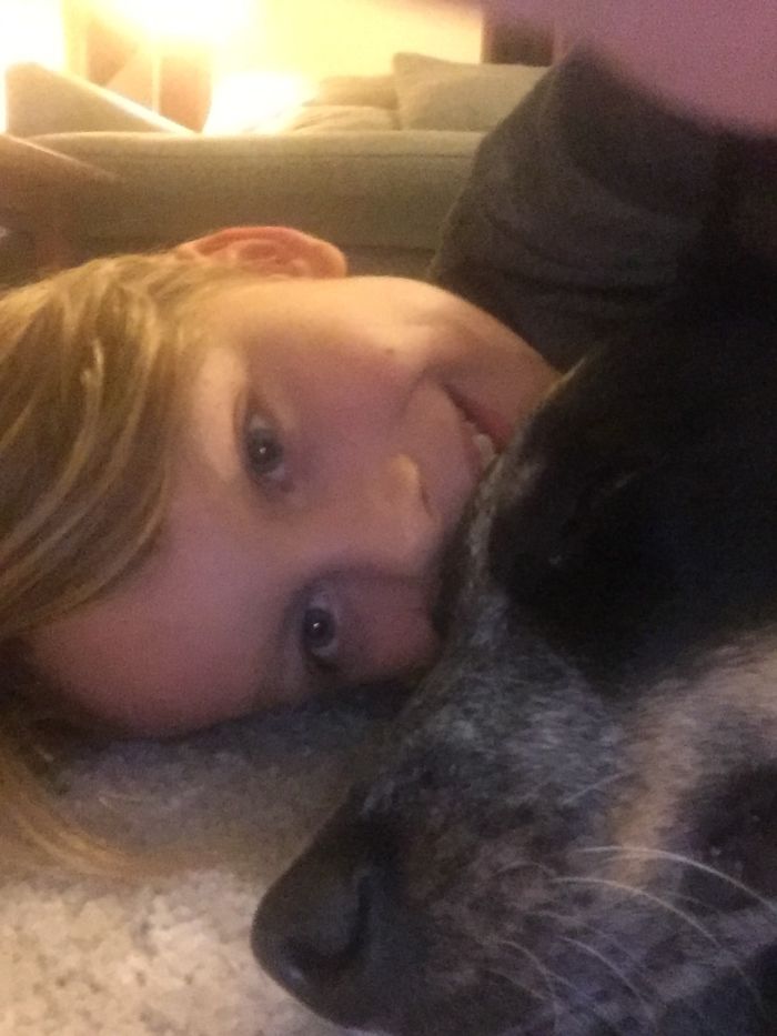 Dog Old Buddy