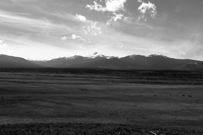 Mountain Vibes