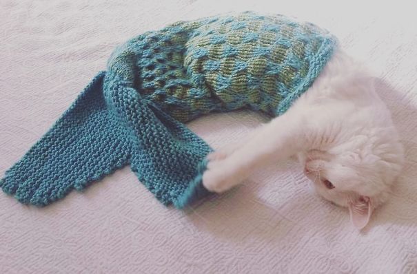 Cat Mermaid Blanket