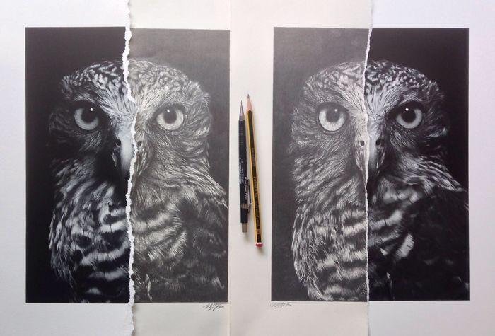 Wise Owl: I Created Two Originals From One Artwork