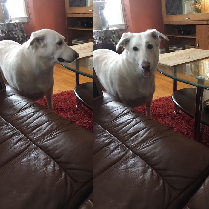 Before And After She Was Told She Was A Good Girl