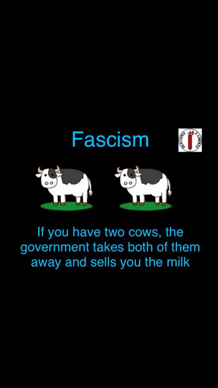 Is The Cow's Fault!