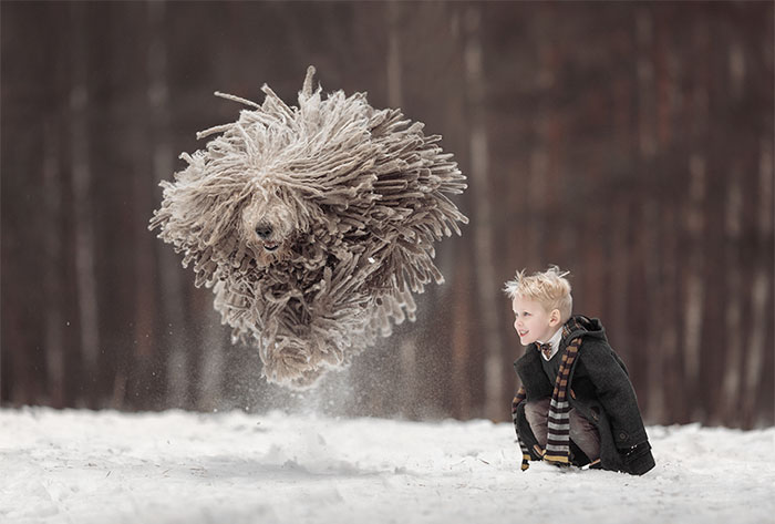 This Giant Furry Dog Playing With A Kid Will Make Your Day