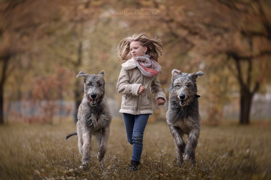 Little Kids And Their Big Dogs