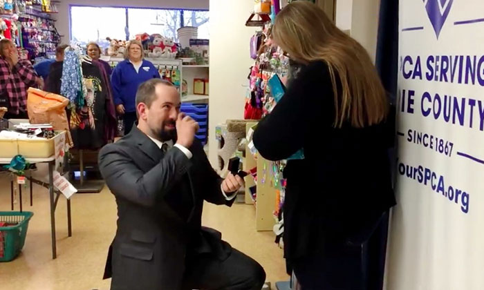 This Man Proposed To His Girlfriend With A Rescue Kitty, And It Can't Get Any Cuter