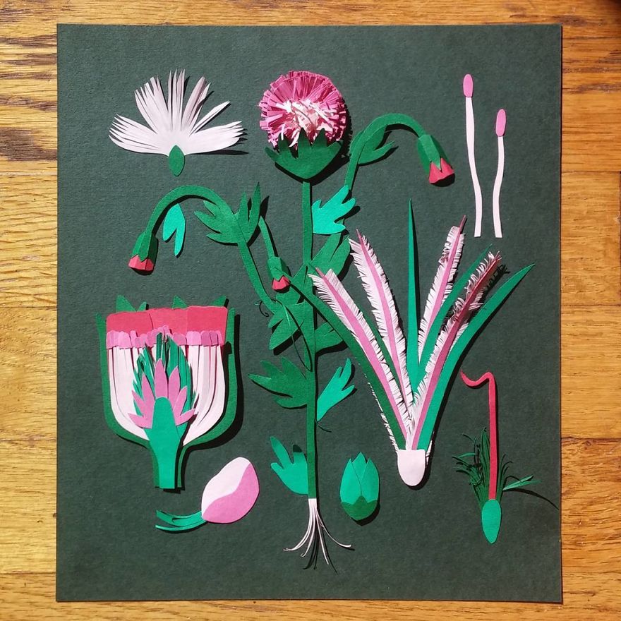 Botanical Studies Through Colorful Paper Cut Illustrations
