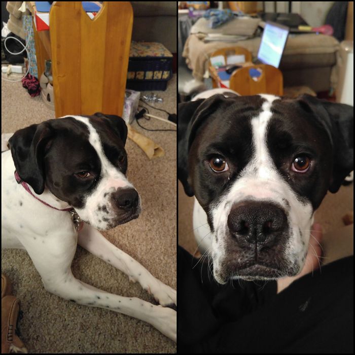 Before And After Being Called "momma's Best Girl".
