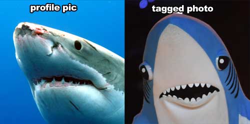 profile-photo-vs-tagged-left-shark-584fba6198be9.jpg