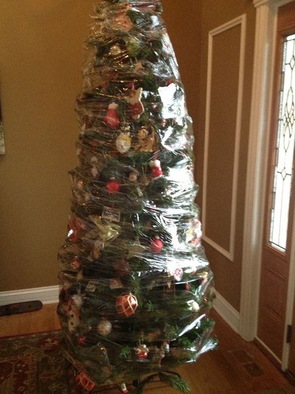 Christmas Tree In Saran Wrap, Cat Proof Level Over 9000