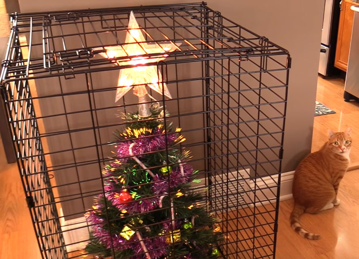 40 Genius People Who Found A Way To Protect Their Christmas Trees From Asshole Cats And Dogs