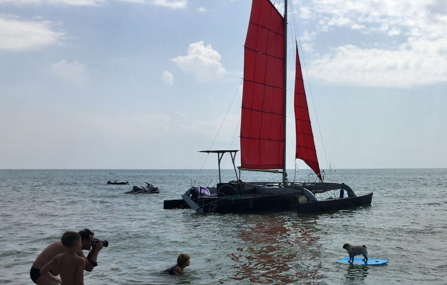 Met A Pug On Vacation