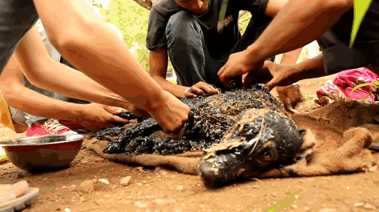 Puppy Was Left To Die After Falling Into Hot Tar, Until Miracle Happens