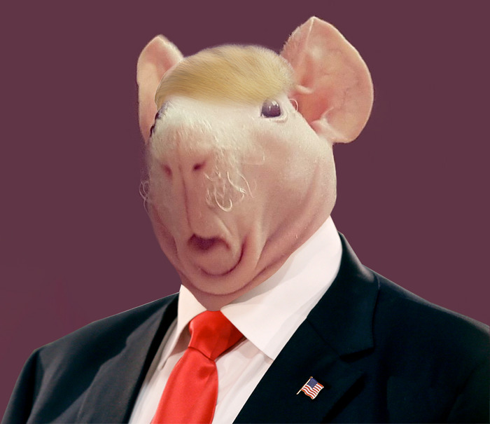 Pig Elect