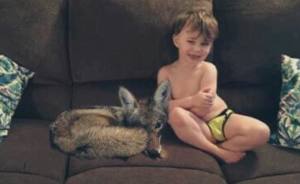 Esta mujer le escribió a su marido que había traido un perrito a su casa, pero en la foto salía un coyote