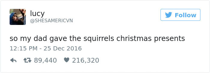 tiny-christmas-presents-squirrels-dad-2