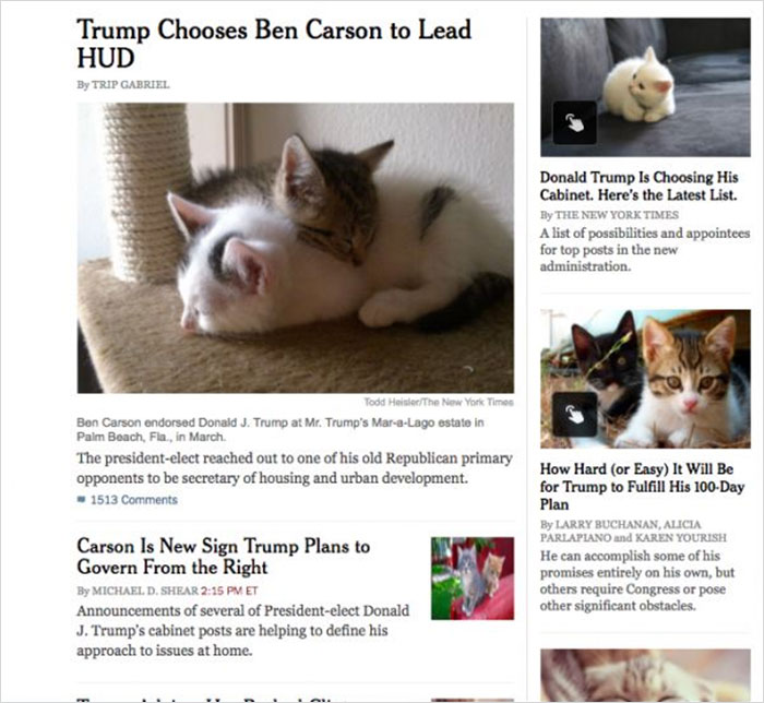 New Google Chrome Extension Replaces All Images Of Donald Trump With Kittens