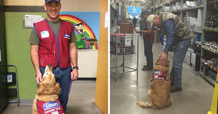 A Veteran Who Needs A Service Dog Was Struggling To Find A Job, Until This Store Employed Them Both