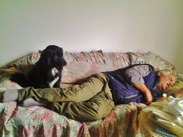 "don't Let Him On The Couch" He Said..."it Is Not For Dogs" He Said...