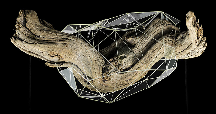 I Encapsulate Driftwoods With Little Floating Glass Architectures That Look Like Computerized Chrysalis