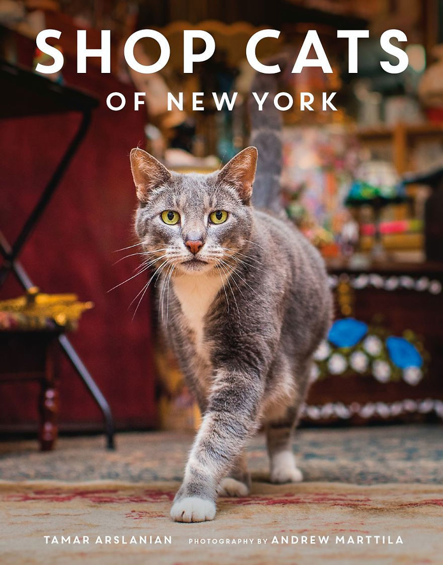 Shop Cats Of New York! Photographer Captures Cats In Shops All Over New York
