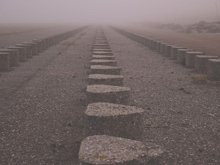 I Love How The Fog Turns The World On Mute