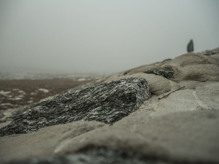I Love How The Fog Turns The World On Mute