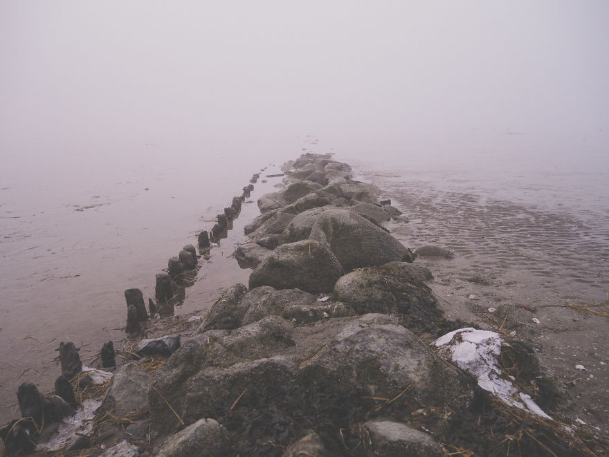 I Love How The Fog Turns The World On Mute
