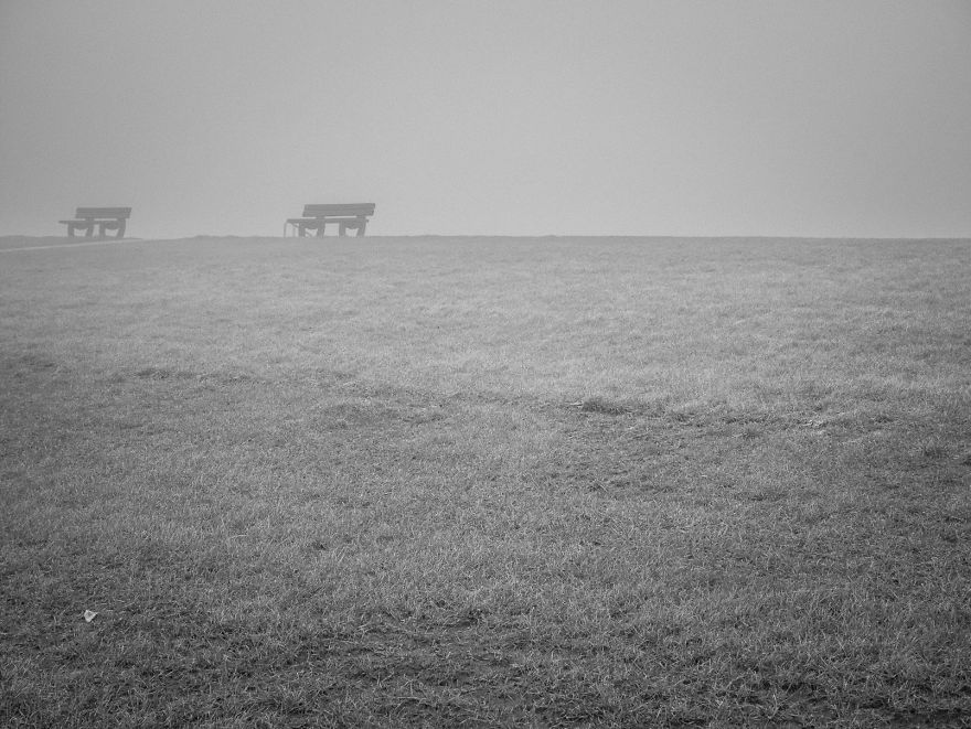 I Love How The Fog Turns The World On Mute