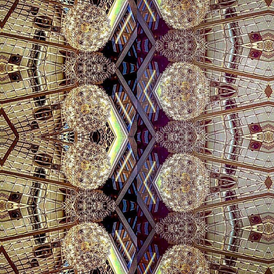 I Turn Daily Photo Into Dynamic Pattern I Turn Daily Photo Into Dynamic Pattern