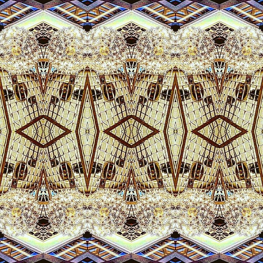 I Turn Daily Photo Into Dynamic Pattern I Turn Daily Photo Into Dynamic Pattern