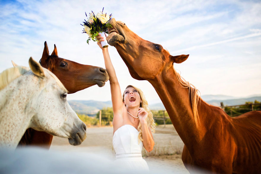 15+ Of The Most Stunning Wedding Photos You'll Ever See