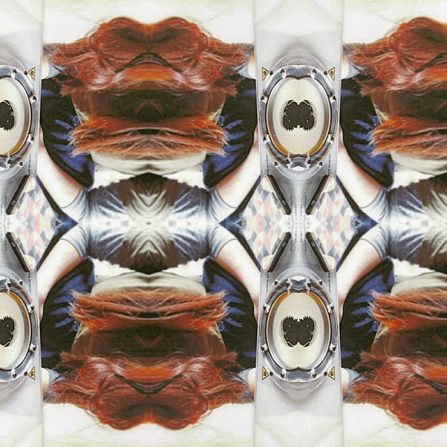 I Turn Daily Photo Into Dynamic Pattern I Turn Daily Photo Into Dynamic Pattern