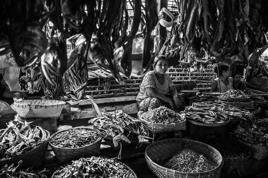 The Stateless Rohingya