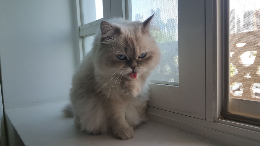 1 Year Anniversary Princess Mimi