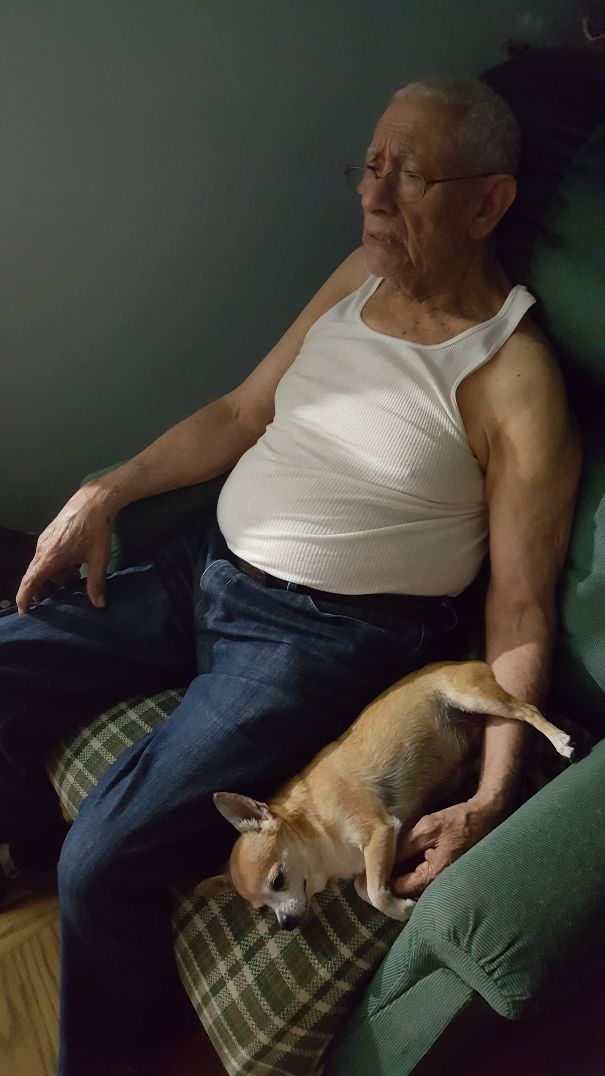 My Dad With My Dog Before She Passed. Always Said He Didn't Want A Dog In The House. She Had Him Wrapped Around Her Little Paw In No Time. He Called Her "the Baby."