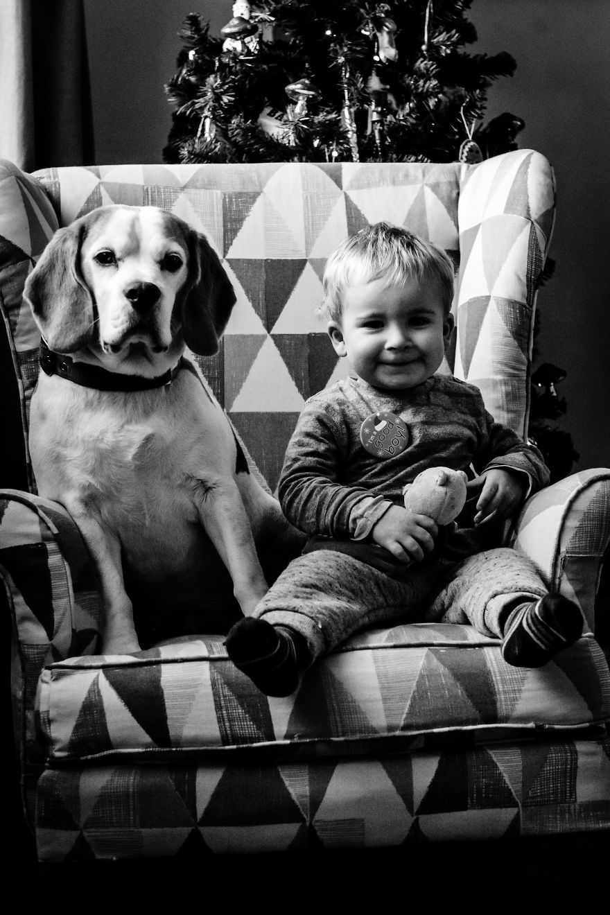 I've Taken A Picture Of My Son And Beagle Every Month For The Last Two Years In The Same Chair