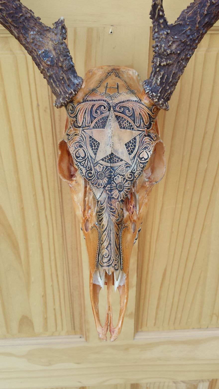 Western Style Deer Skull Carving I Carved With A Dremel