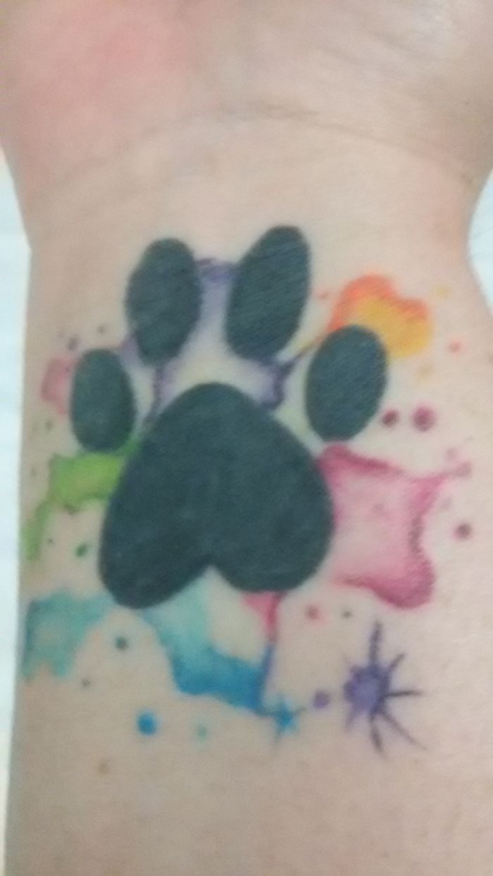 Paw Print With Water Colour On My Wrist