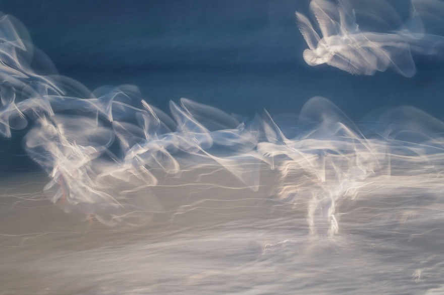 Flights Of The Imagination.