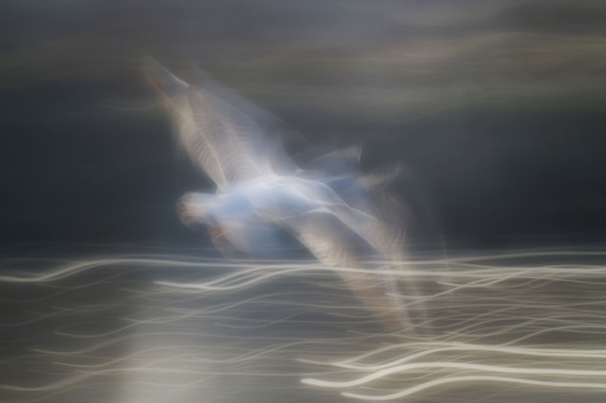 Flights Of The Imagination.