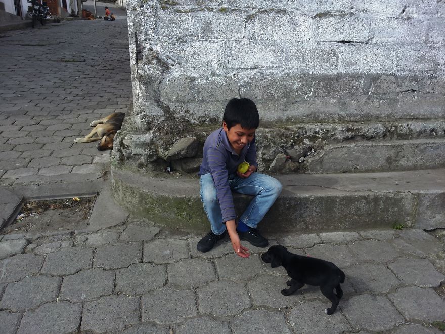 I Paid Tribute To The Dogs Of Ecuador I Paid Tribute To The Dogs Of Ecuador